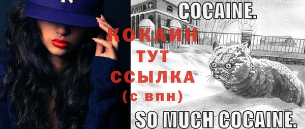 дмт Беломорск