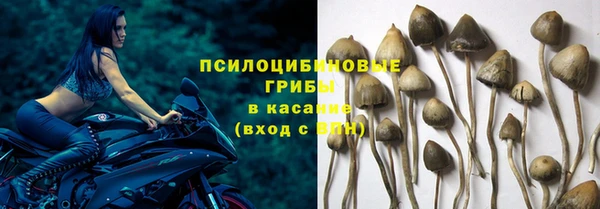 дмт Беломорск