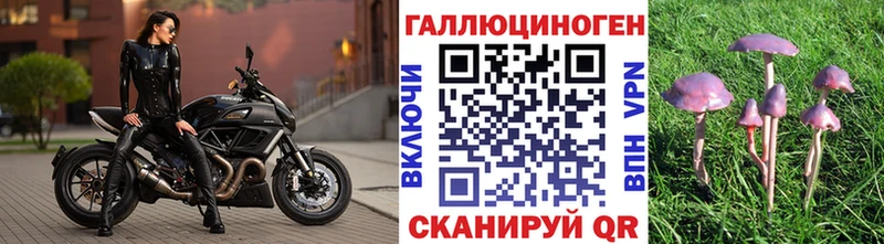 mega tor  Добрянка  Галлюциногенные грибы прущие грибы  дарнет шоп 
